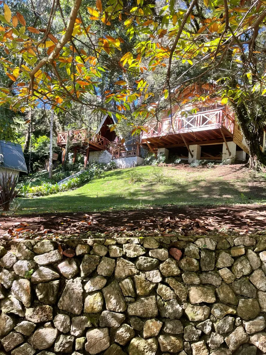 Natureza ao redor da pousada em Monte Verde